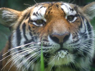 © Brandywine Zoo
